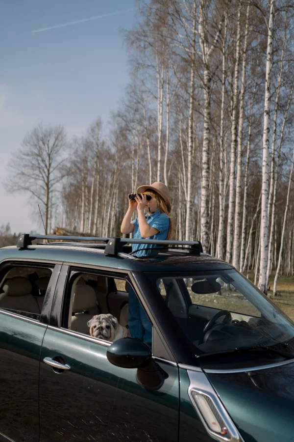 Villieläinkatselu, yksi auto 5 hengelle - Image 10