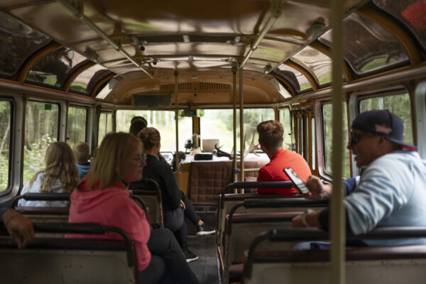 Wildlife Watching in Russian, with vintage bus PAZ, ticket - Image 3