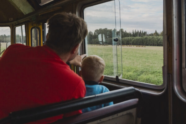 Wildlife Watching in Russian, with vintage bus PAZ, ticket - Image 2