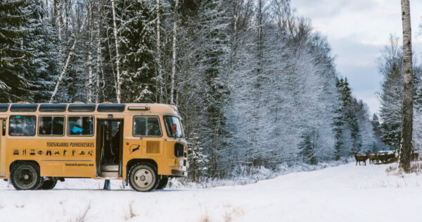 Wildlife Watching, vintage bus PAZ in estonian for kids - Image 2