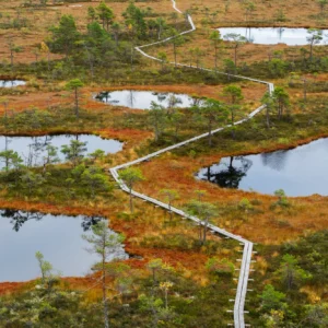 Räätsamatk Mukri rabas